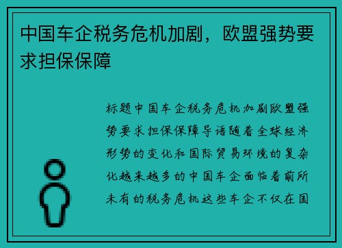 中国车企税务危机加剧，欧盟强势要求担保保障