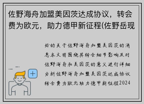 佐野海舟加盟美因茨达成协议，转会费为欧元，助力德甲新征程(佐野岳现状)