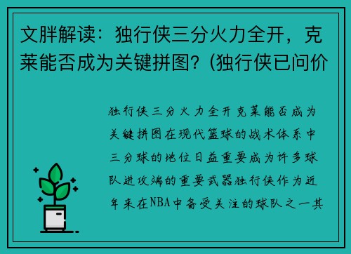 文胖解读：独行侠三分火力全开，克莱能否成为关键拼图？(独行侠已问价拉文)