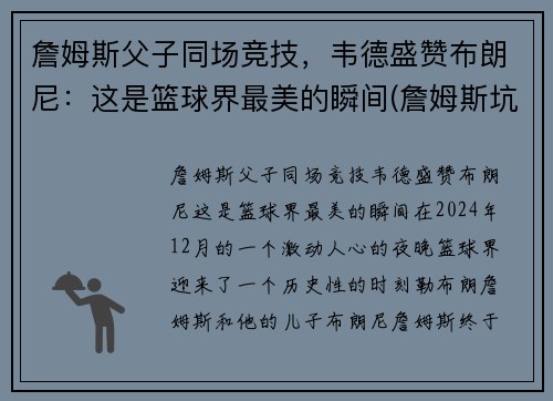 詹姆斯父子同场竞技，韦德盛赞布朗尼：这是篮球界最美的瞬间(詹姆斯坑韦德)